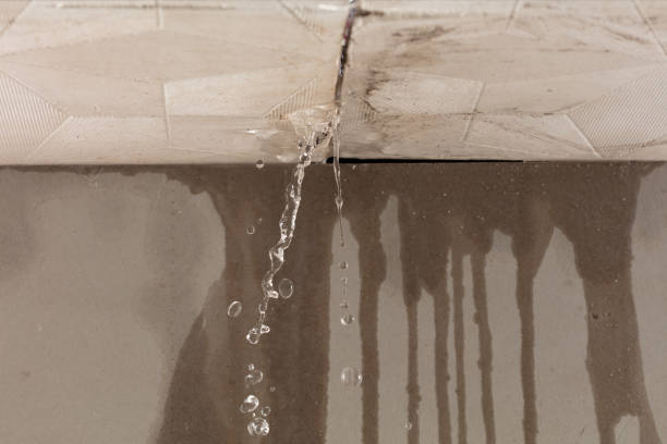 Professional Water Extraction technician working in Morris, IL